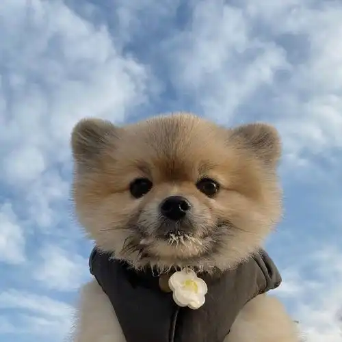 漂亮的衣服
