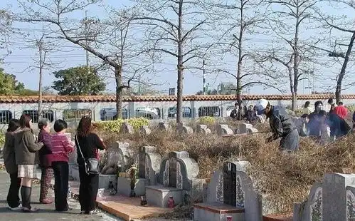 俗语女儿莫上娘家坟,否则断了娘家门,什么意思在理吗
