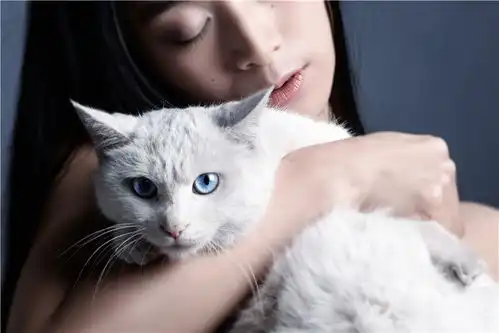 女孩与猫
