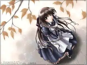 美眉
