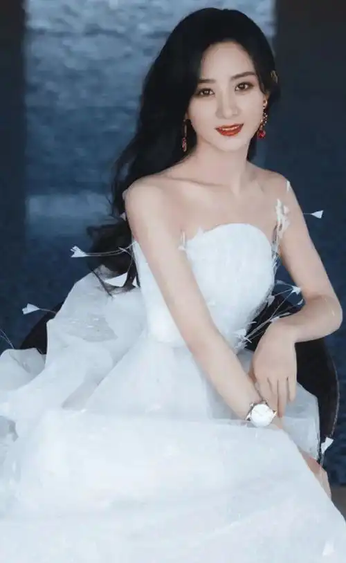宣布离婚的赵丽颖有多美一组照片揭开真相粉丝某些人不珍惜
