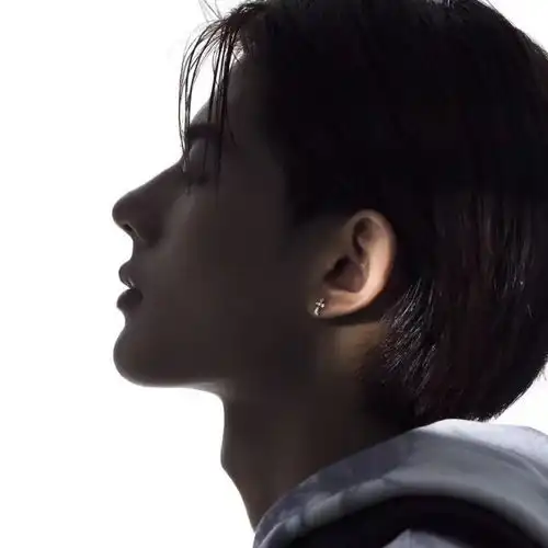 男生头像可爱的猪猪男孩
