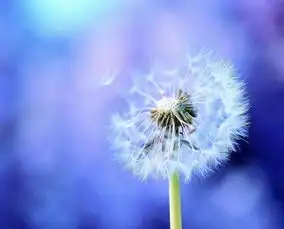 治愈系英文遇上任何美景只要你不在身边都是遗憾
