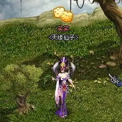 qq幻想世界天缘仙踪新手功略
