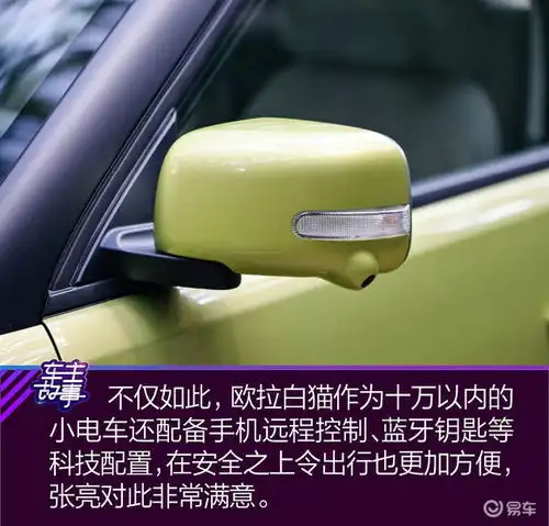 猫系青年的欧拉白猫深度吸猫指南
