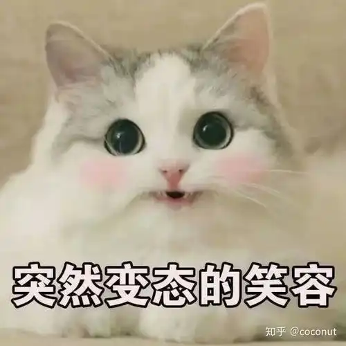 女生172cm,130140斤算胖吗
