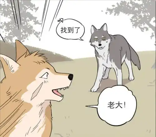轻松一刻狼王带回一只小奶狗,狼小弟疯狂吃醋
