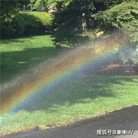 绿色清新文艺图片素材好看的绿色系意境图片
