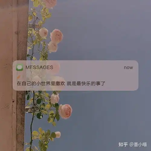 微信朋友圈背景图格调很高的微信置顶句子
