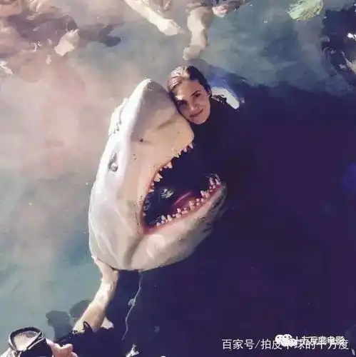 为什么恐怖片佳片不断2016和2017年度恐怖片大盘点
