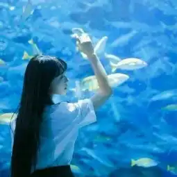 qq聊天背景,完美契合的蓝色背景
