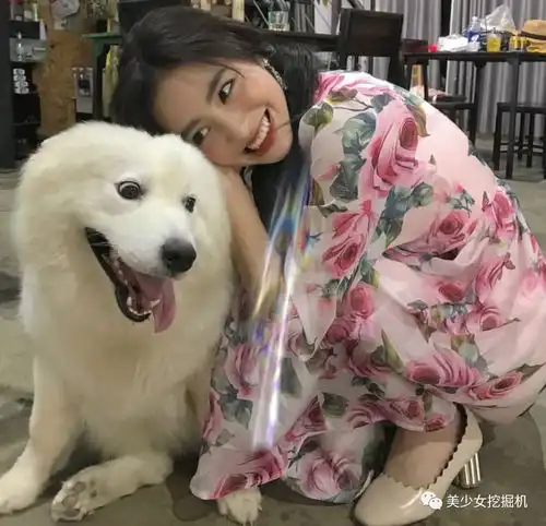 鼻子里放倒三角假体的超模就是牛头梗本梗啊
