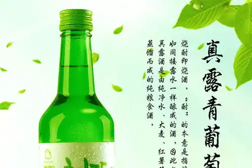 韩国进口竹炭烧酒清酒真露竹炭酒青葡萄味360ml6瓶
