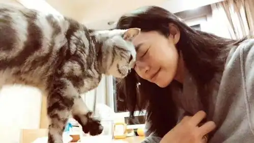 姚晨新剧外婆的新世界戏里戏外猫咪相伴感受温暖治愈的力量
