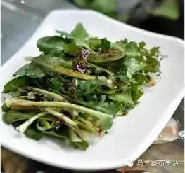 又到了挖甜苣的季节,这些居然99乌兰察布人都不知道...

