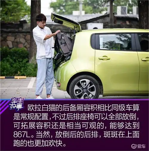 猫系青年的欧拉白猫深度吸猫指南
