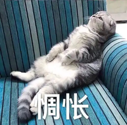 洗头困难户
