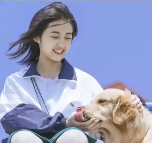 宝藏女孩张子枫
