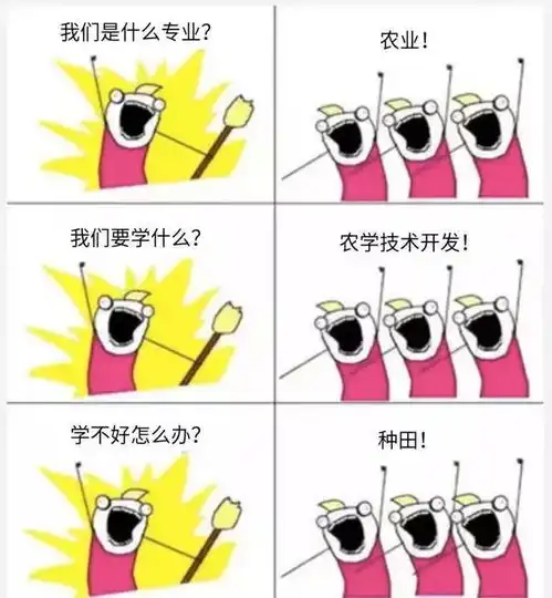 专业名称之望文生义
