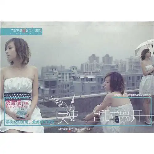 天使暂时离开书籍
