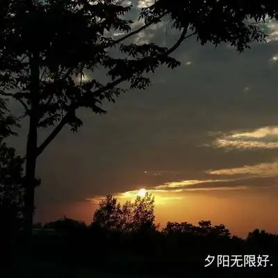 ins风景静物头像你就是我在黑风景静物头像我要个性网
