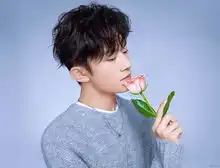 明星新媒体指数排名,王俊凯第八,杨紫第四,榜首实至名归
