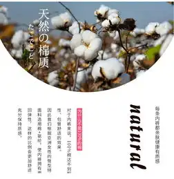 俞兆林新款可爱卡通少女素色全棉女士内裤三角裤五条精美礼盒装
