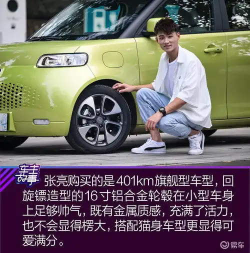 猫系青年的欧拉白猫深度吸猫指南
