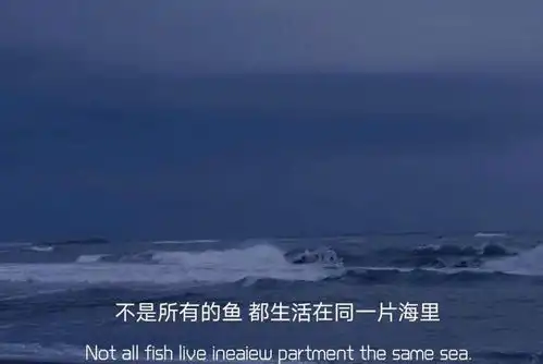 超级拽的文案
