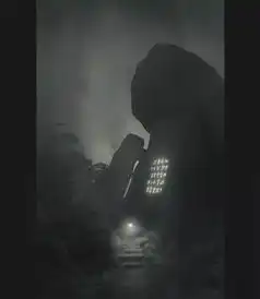 这种作品,太压抑了
