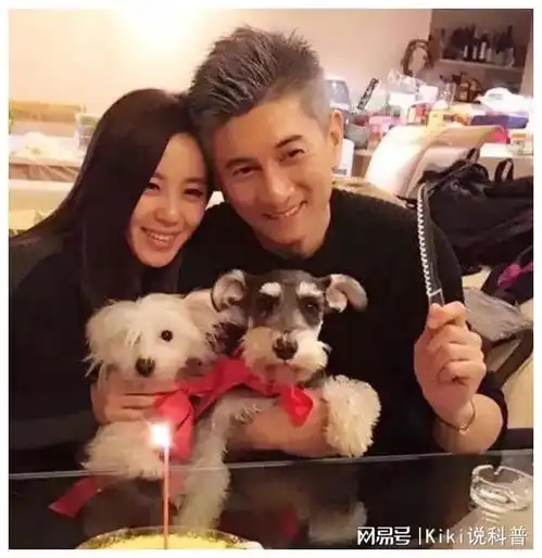 刘诗诗吴奇隆一家三口合体,力破离婚传闻,五岁儿子更亲妈妈
