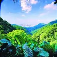 风水上最好的微信头像风景招财微信头像图片大全
