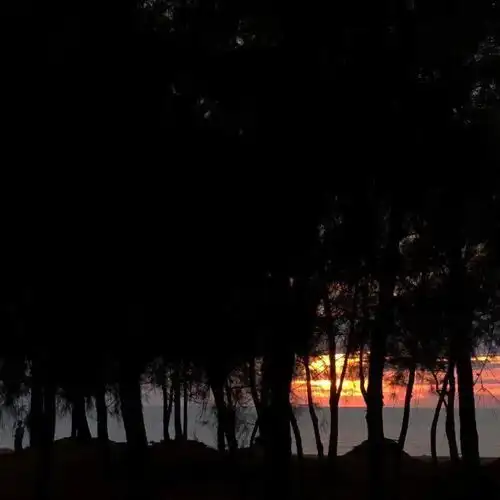 头像背景丨天将长夜临朽欲明
