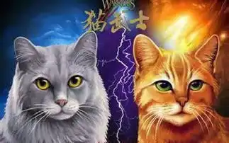 童书推荐猫武士抒写了童话世界里猫的传奇
