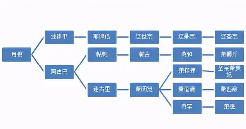 正说萧耨斤,杀皇后怼皇帝,把辽国拖进深渊,史上最嚣张的贵妾
