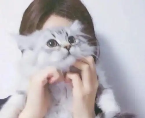 一生只守一个人,用情至深的星座女
