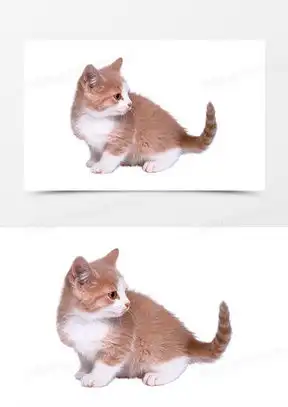 小猫尾巴可爱图片卡通合集熊猫办公
