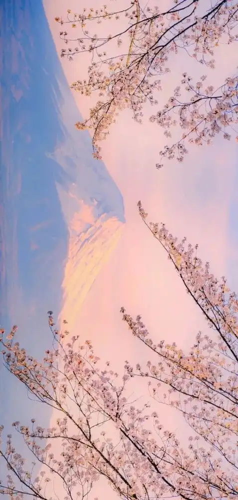 超级治愈的暖色系壁纸
