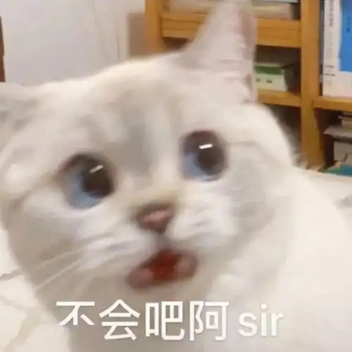e句话看天下丨披荆斩棘的哥哥要来了抱走我的吴彦祖

