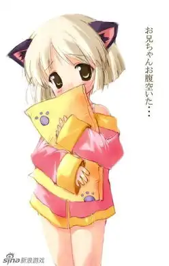 百张各种各样的猫耳少女
