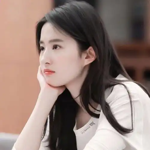 若网在纲,有条而不紊
