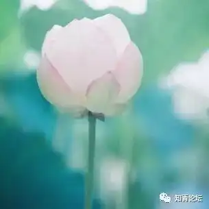 退休后,更青春,送你十点青春秘诀说的太对了

