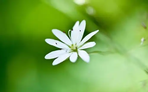 4月底,良缘紧随,贵人扶持,事业必将翻身的3生肖
