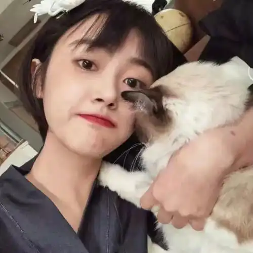 女生头像与句子你羡慕的生活都是你没熬过的苦
