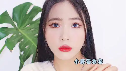 猫系少女妆容,小野猫
