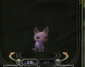 大家帮我看看,我家小猫染成紫色的好看不因为染色之后就没法变回原来的颜色,所以有些纠结要不要染色呢
