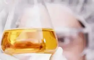 复合聚氨酯胶粘剂行业概况及发展趋势
