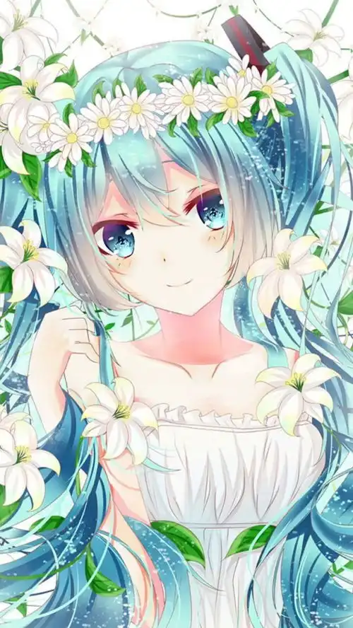 二次元壁
