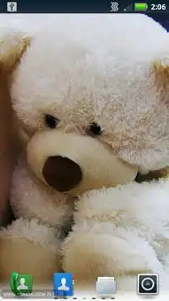 泰迪熊壁纸
