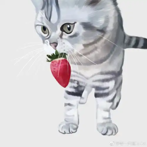 网友家的识货猫把牛奶草莓叼走啦美短吃货水果牛奶可爱猫星人喵萌宠手绘猫猫漫画可爱草莓吸猫每日一画大爱喵星人每天画一只猫
